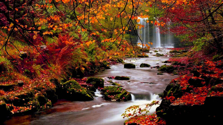 70121535-autumn-wallpapers