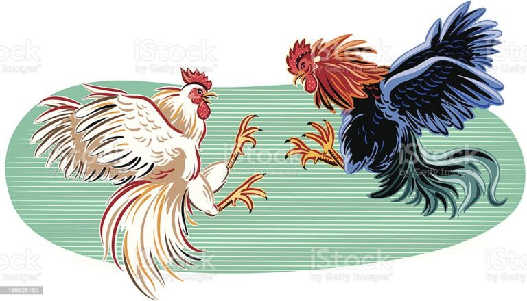 Two roosters facing each other in a fight.